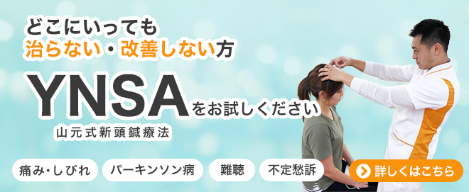 YNSA
